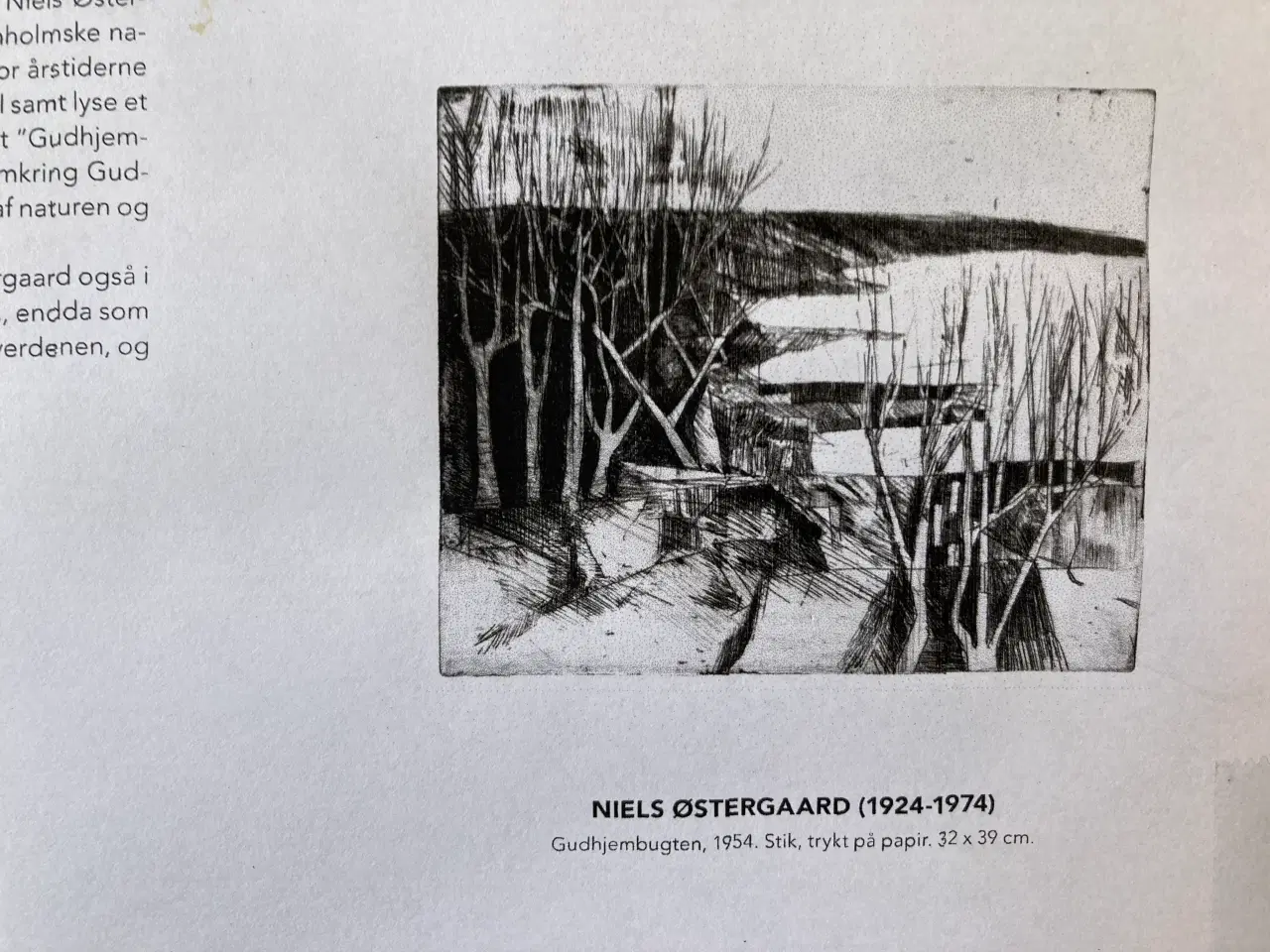Billede 2 - Litografi, stik, Niels østergaard