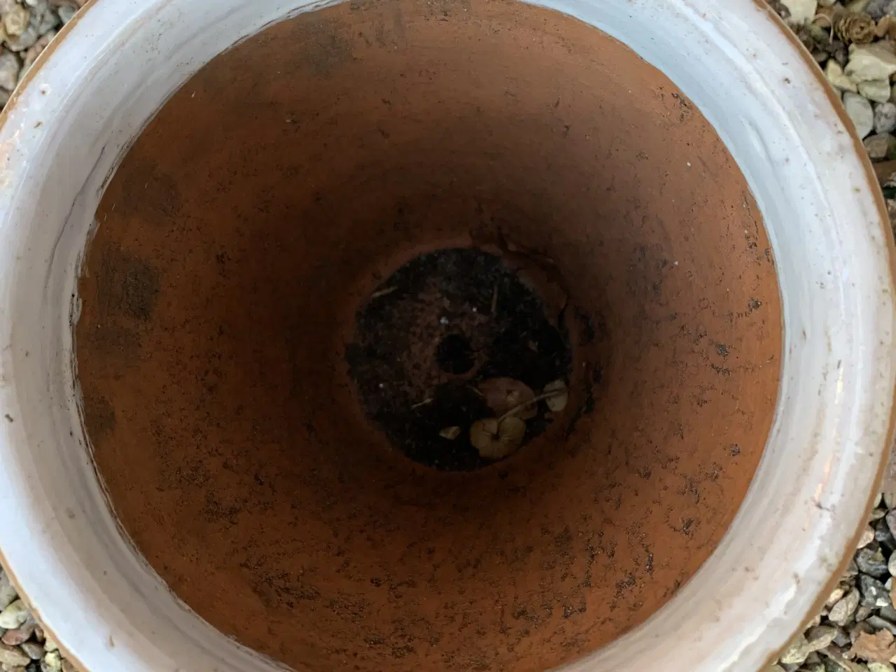 Billede 1 - 2 rosenkrukker inklusiv lyserød hortensia