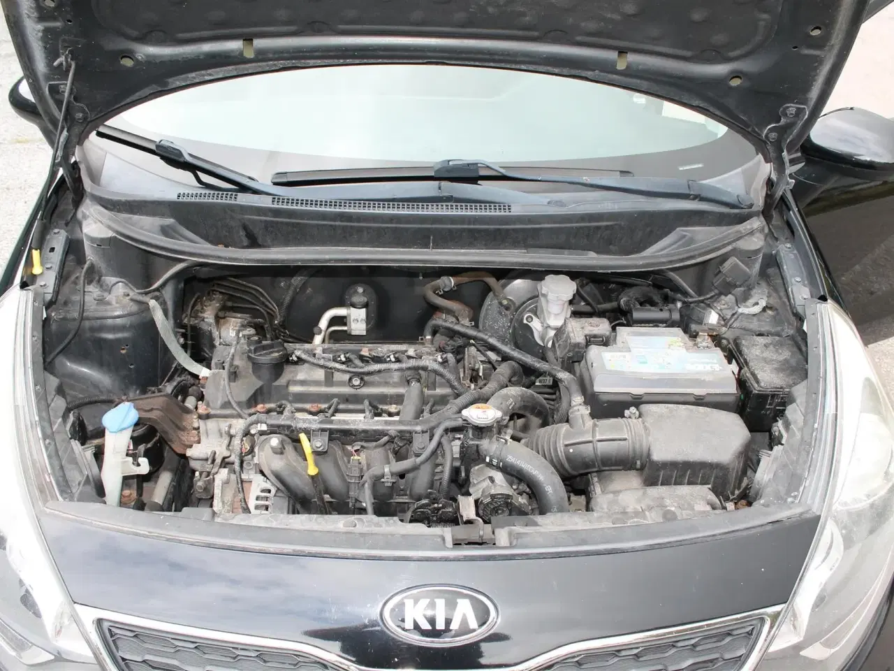 Billede 22 - Kia Rio 1,2 World Cup 85HK 5d