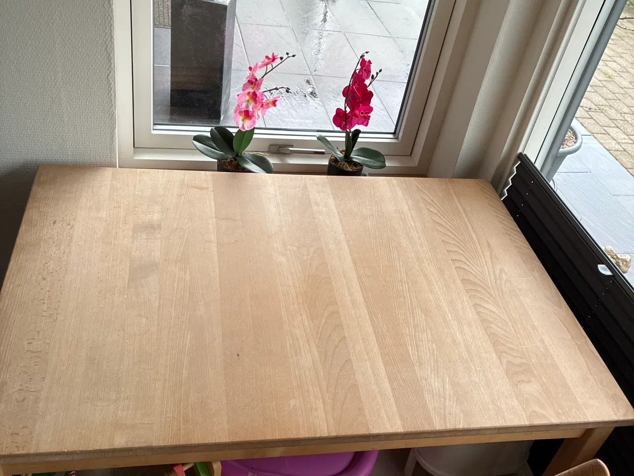 Billede 1 - Sofia egetræ 