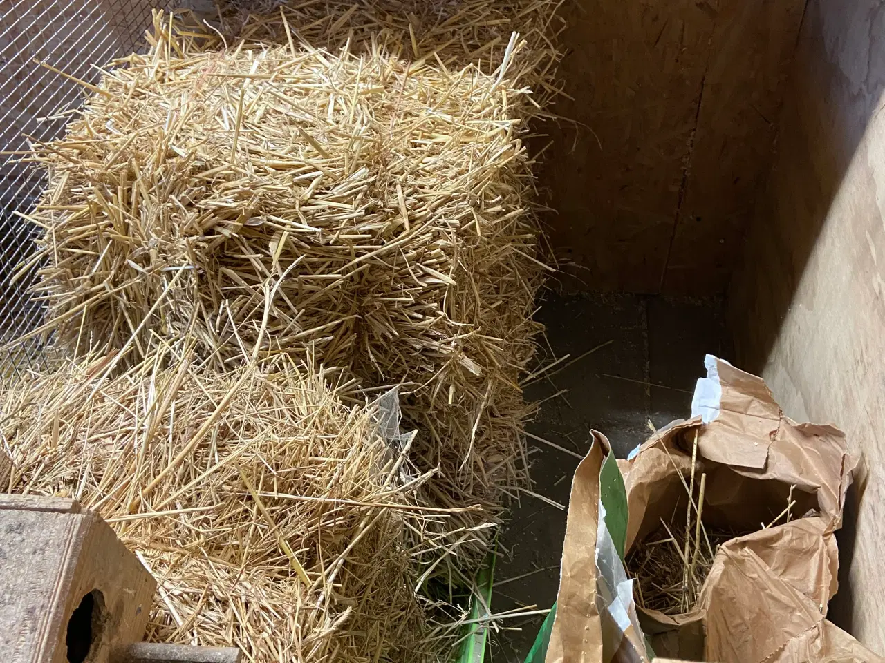 Billede 2 - Marsvin med bur