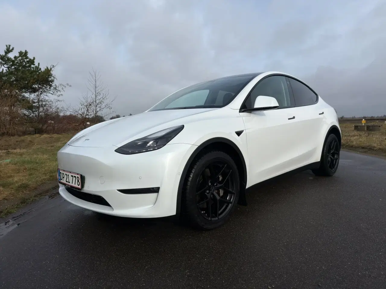 Billede 1 - Tesla Model Y  Long Range AWD