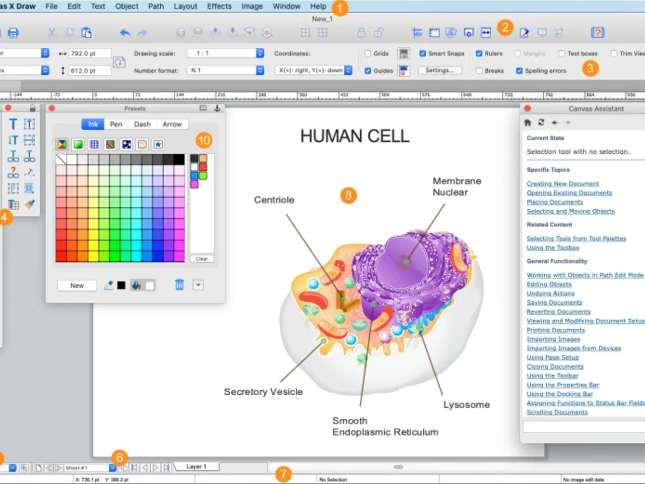 Billede 3 - Canvas X Draw for macOS & Windows (Official)