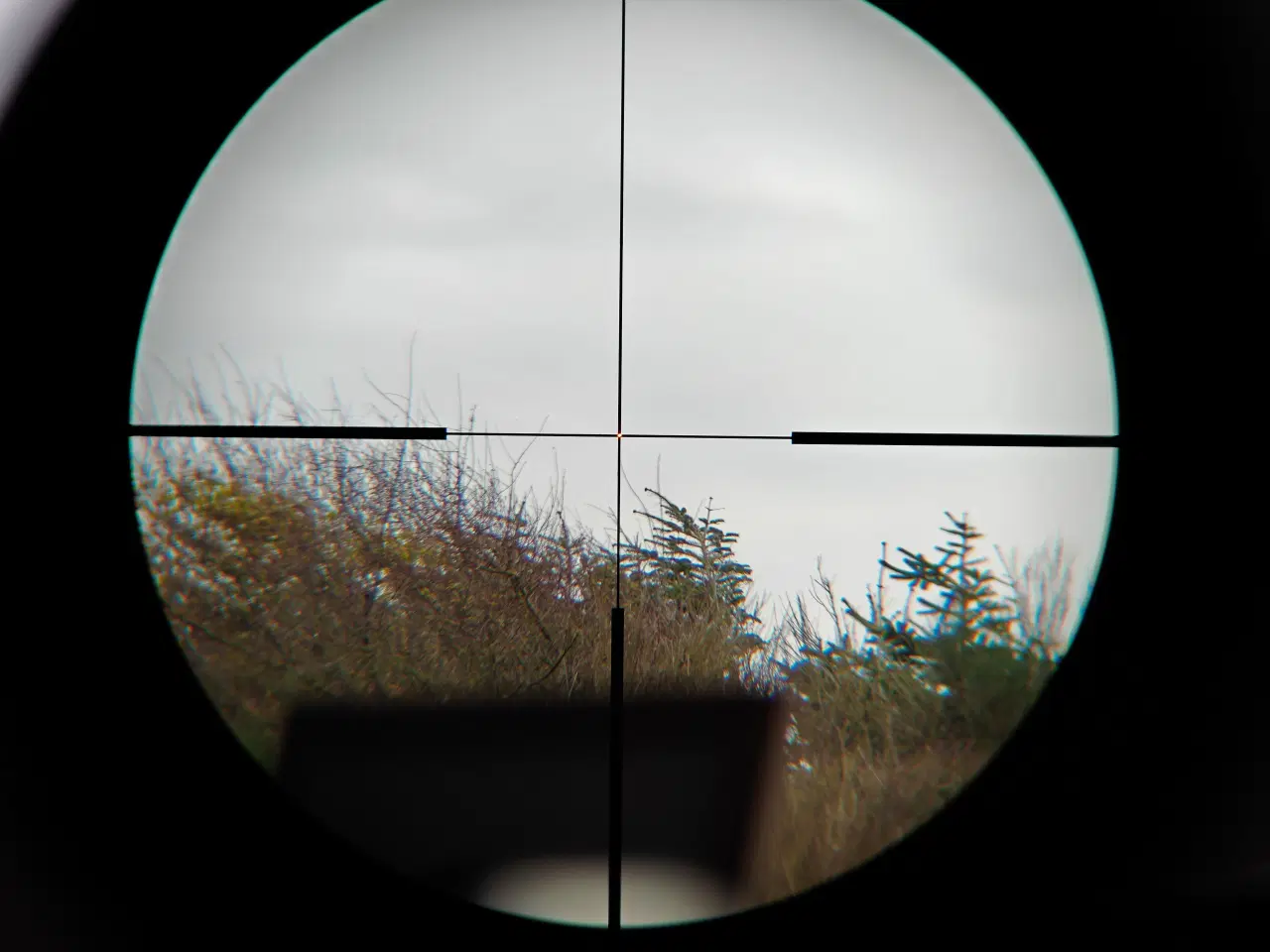 Billede 7 - SAUER 404 SYNCHRO XT SOM NY!!