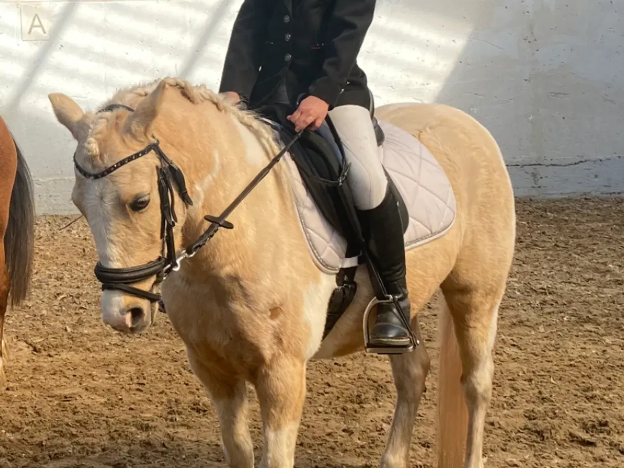 Billede 6 - Smukke Sigga