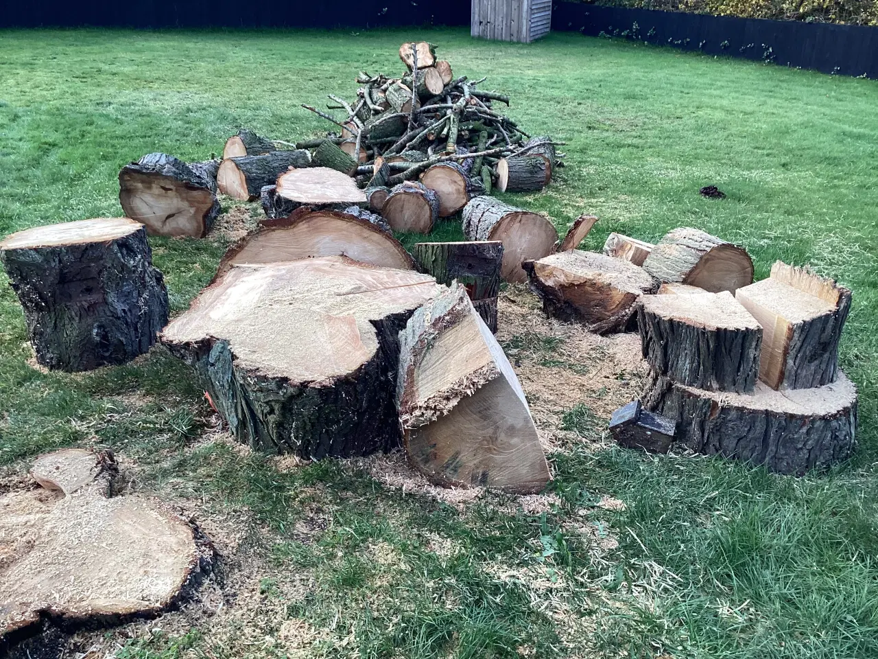 Billede 1 - Træ til brændsel