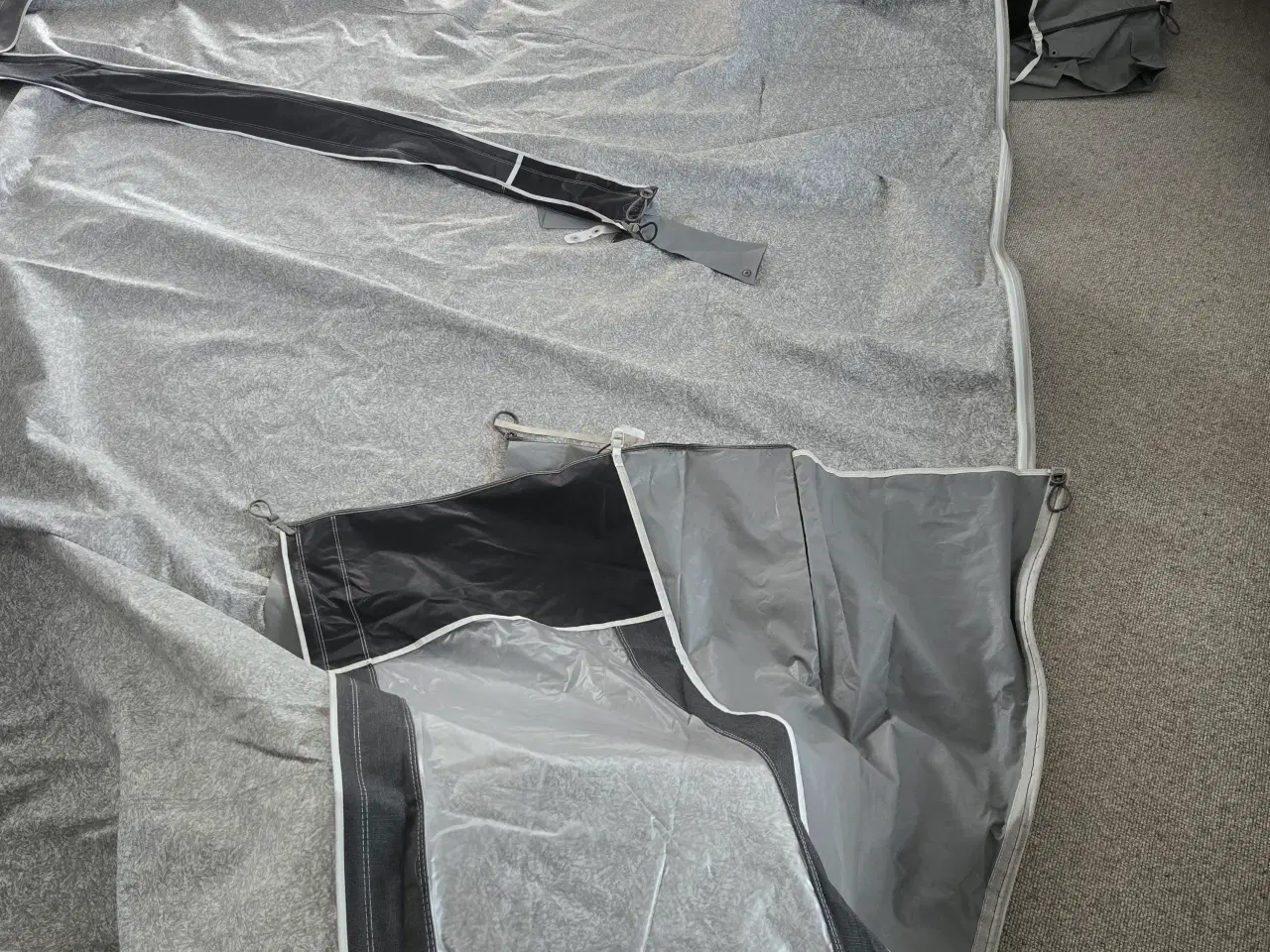 Billede 4 - Isabella commondore seed A925 G16