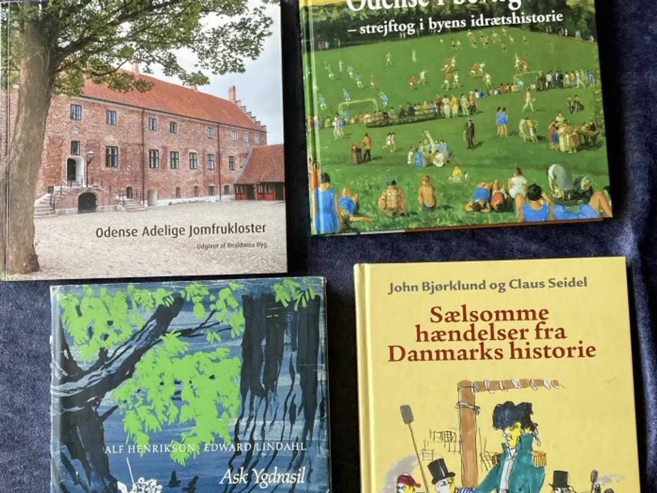Billede 2 - Historiske emner – se pris på hver bog under beskr