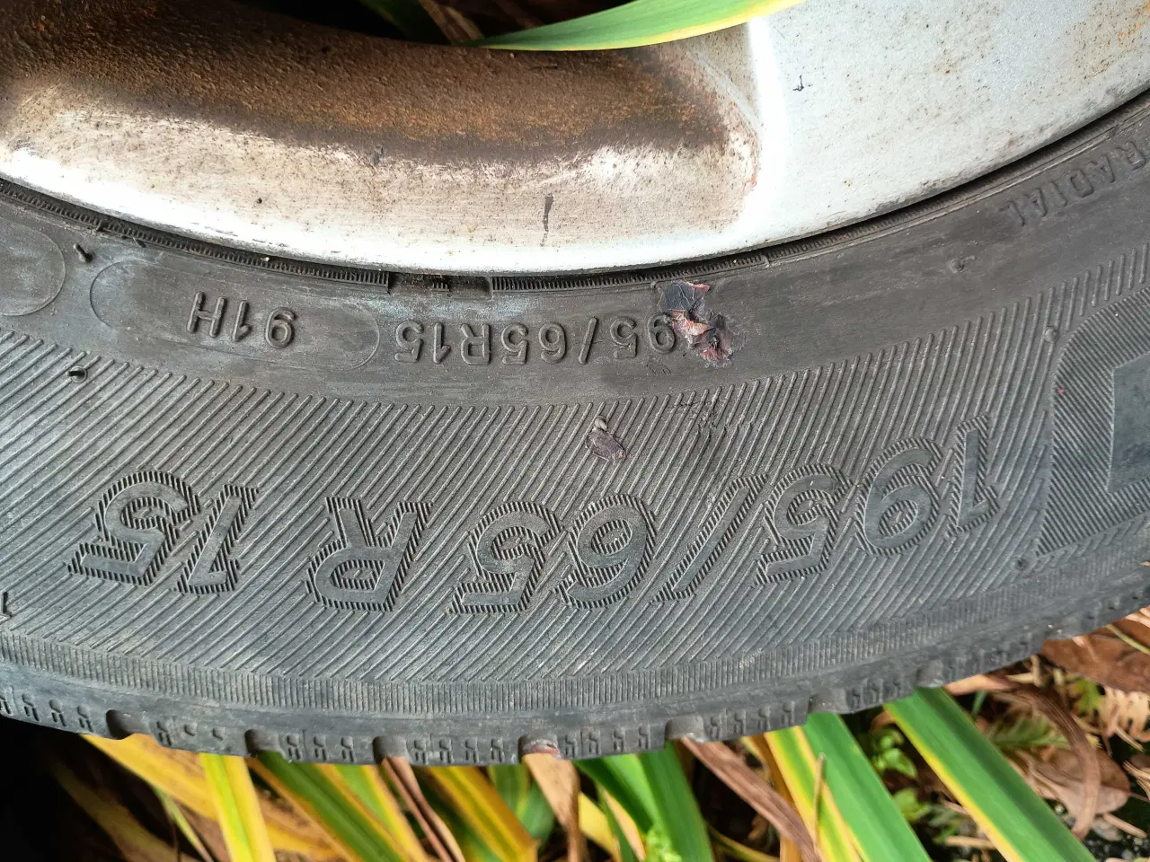 Billede 2 - Helårsdæk på alufælge 