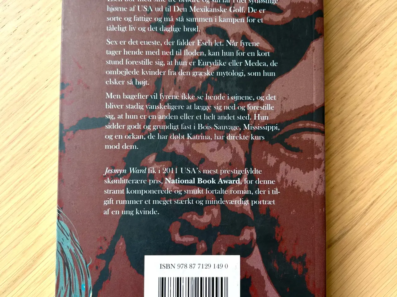 Billede 2 - Hvad Reddes Kan af Jesmyn Ward