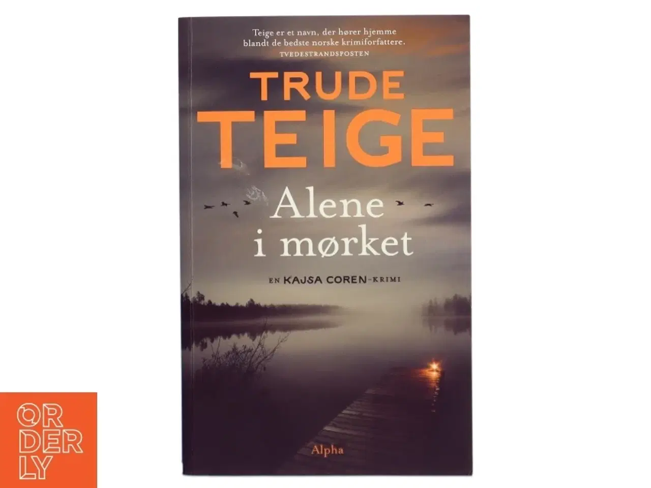 Billede 1 - Alene i mørket af Trude Teige (Bog)