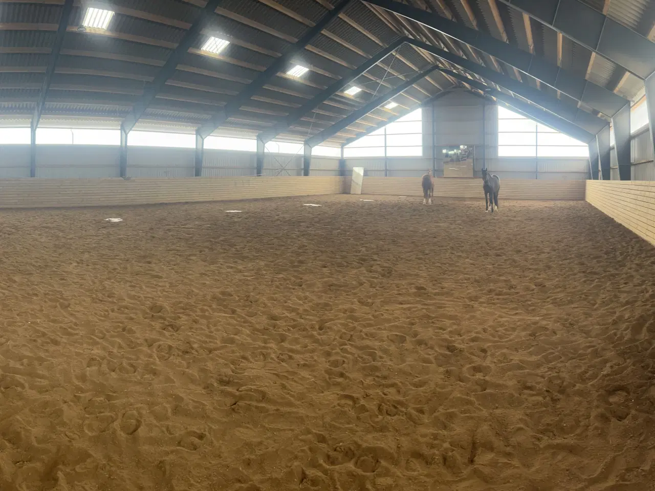 Billede 7 - Bokse udlejes i Stenstrup med ridehus på stedet