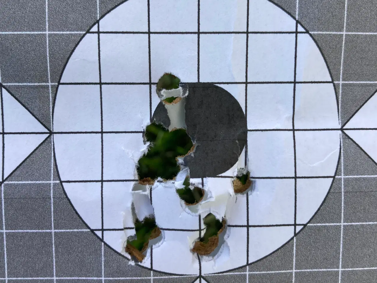 Billede 4 - Hatsan 5,5mm PCP