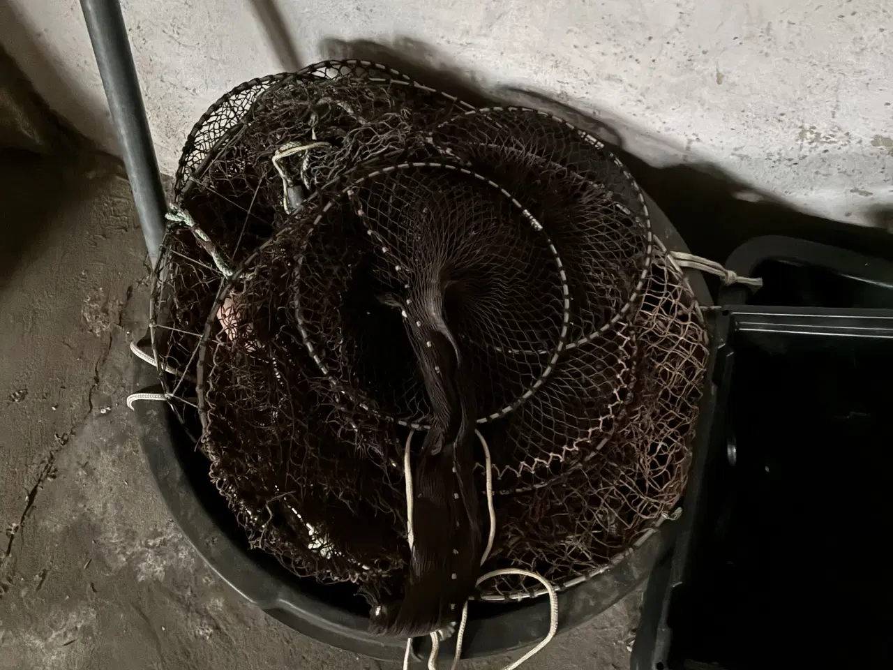 Billede 2 - Masser ruder og gran