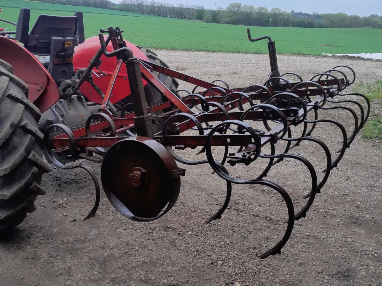 Billede 1 - Kongskilde