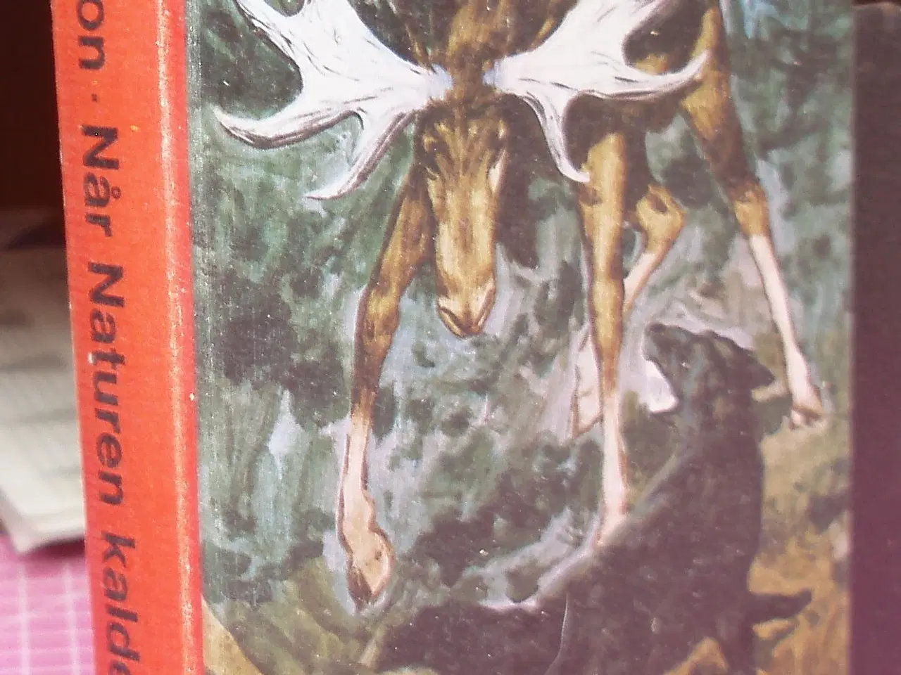 Billede 1 - Når naturen kalder af Jack London