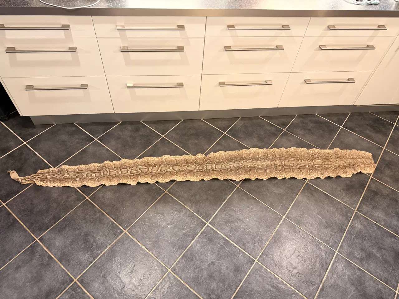 Billede 4 - Slangeskind “python”