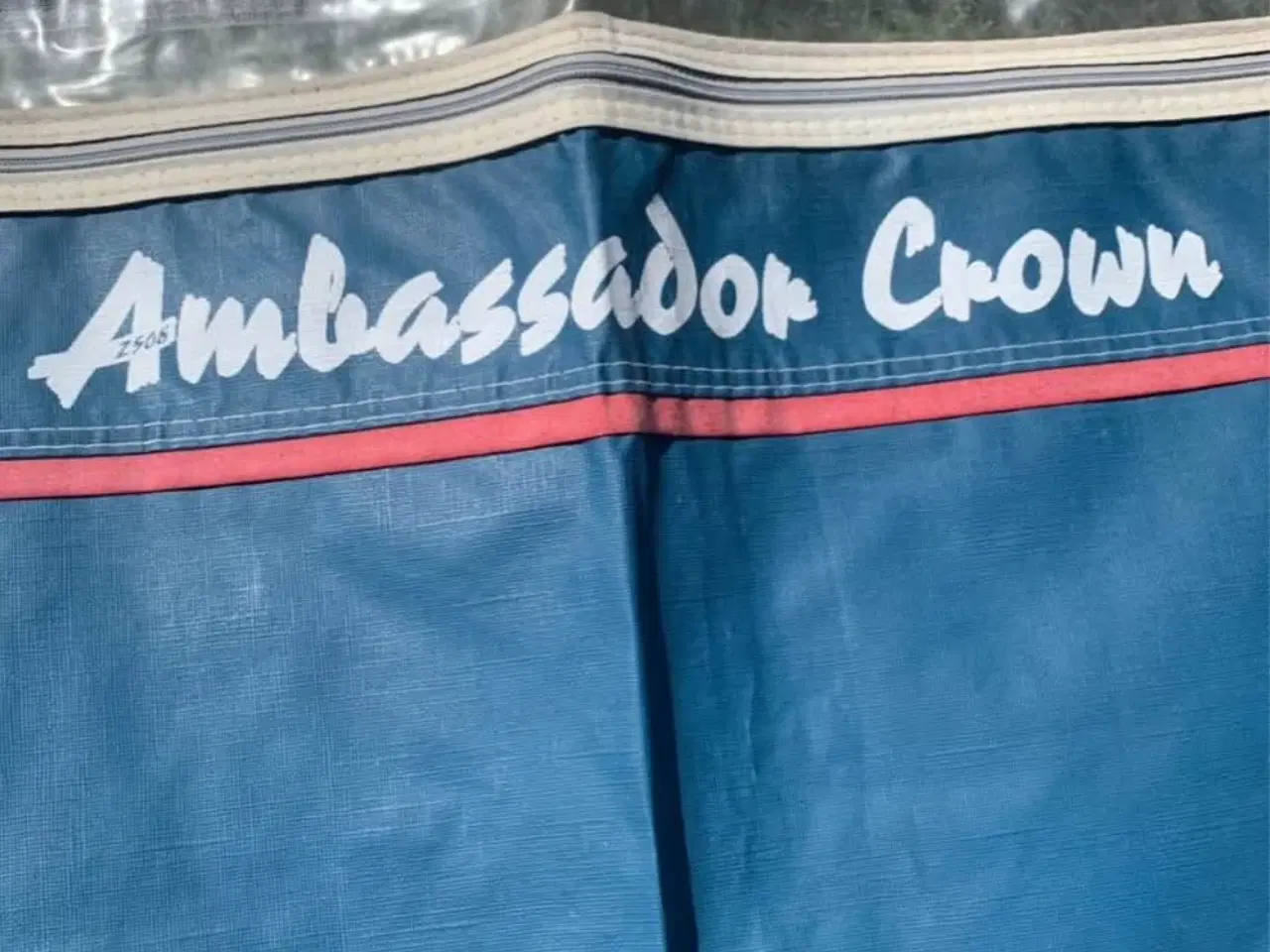 Billede 1 - Velholdt Isabella fortelt. A-mål 1000