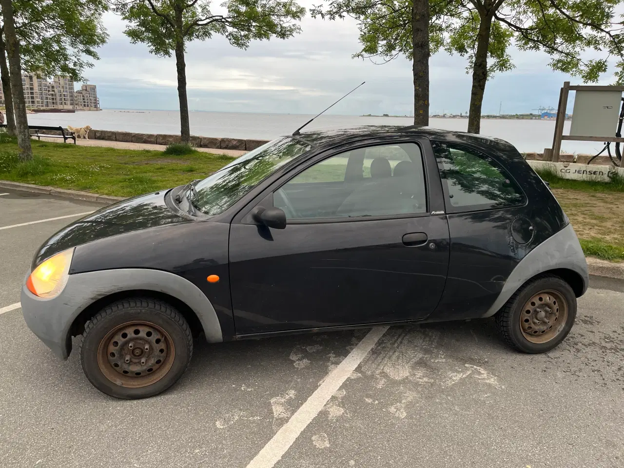 Billede 3 - Ford Ka, Limited Edition