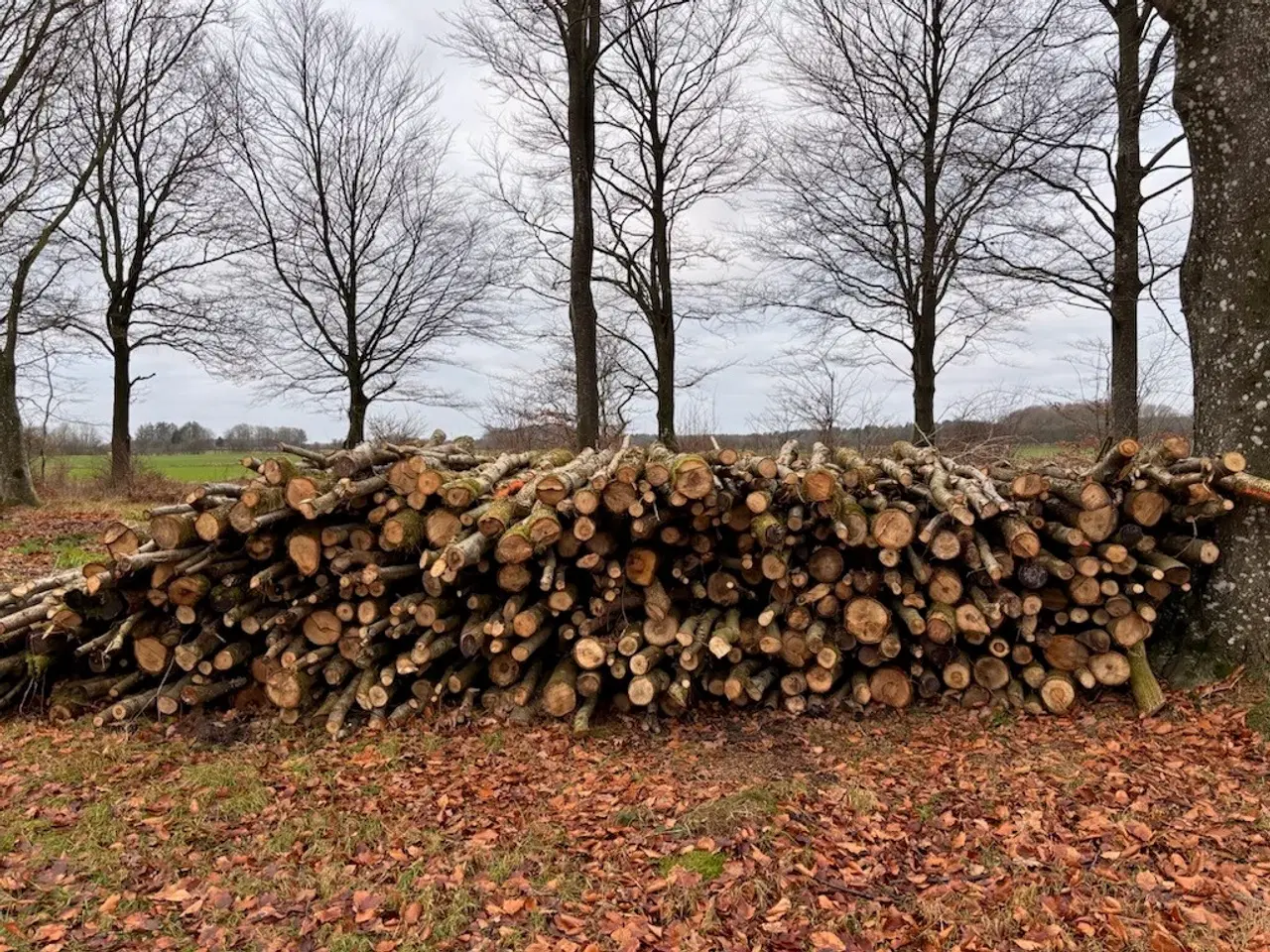 Billede 1 - Flot egebrænde af høj kvalitet