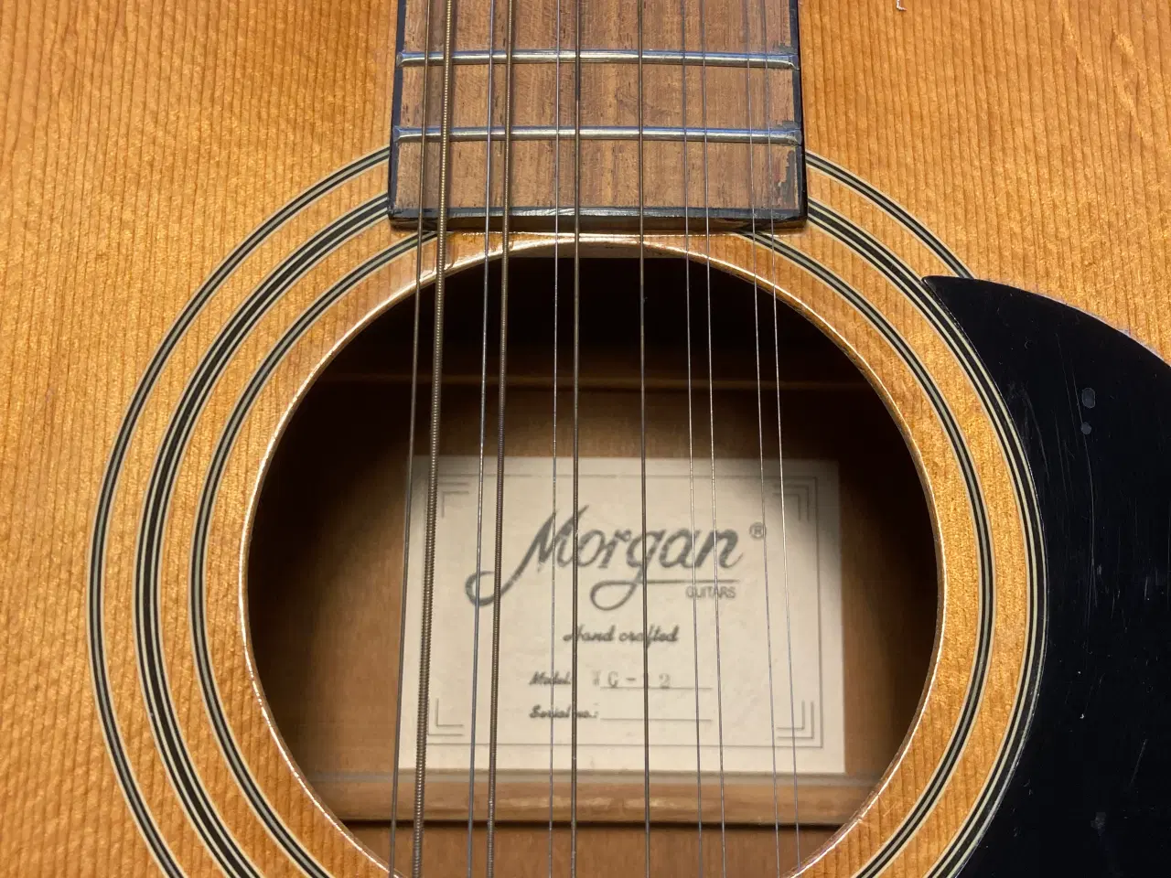 Billede 3 - 12 strenget Morgan guitar. Pickup medfølger