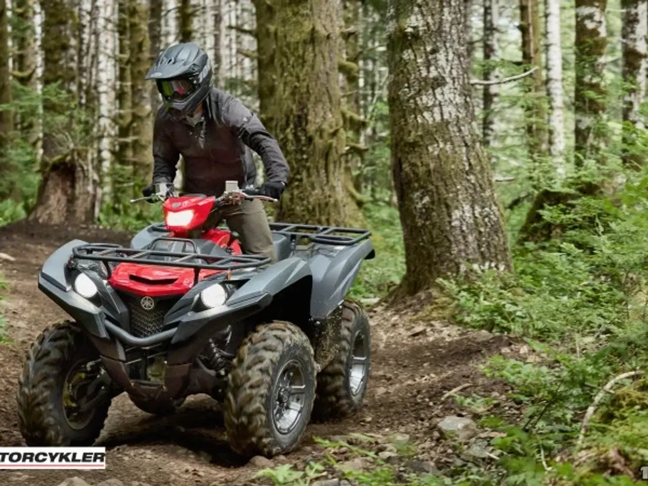 Billede 5 - Yamaha Grizzly 700 EPS Traktor