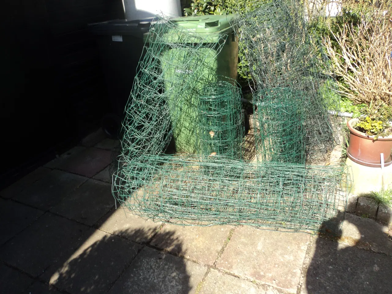 Billede 2 - Grøn havetråd