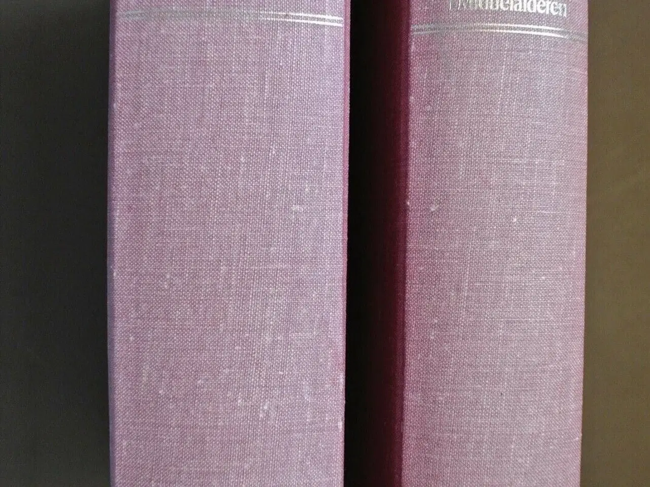 Billede 1 - danmarks gilde- og lavsskraaer fra middelalderen, 