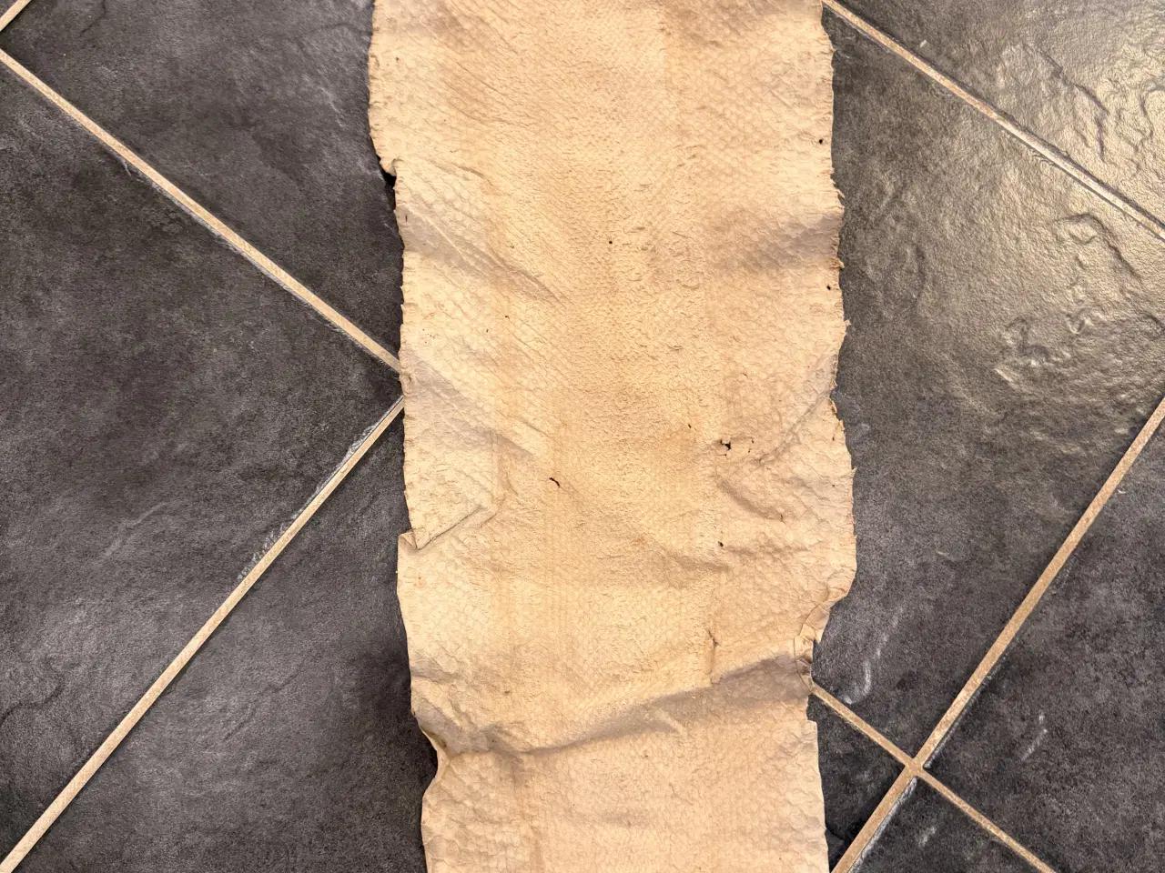 Billede 2 - Slangeskind “python”