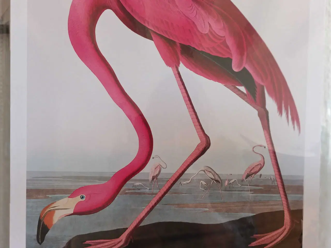 Billede 2 - 7 fine plakater - 30x40 cm