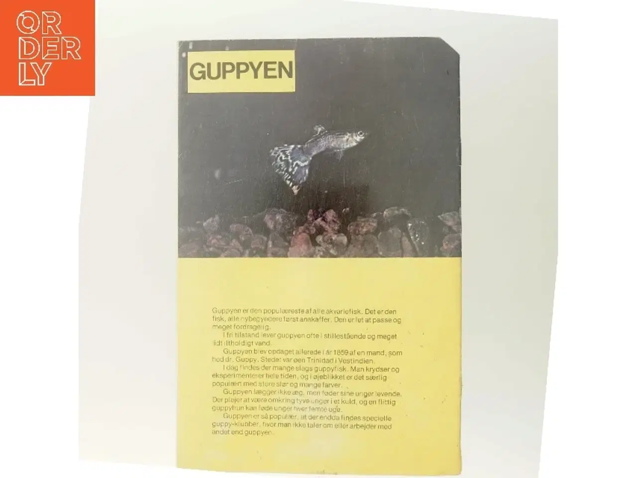 Billede 3 - Sporhunden (Bog)