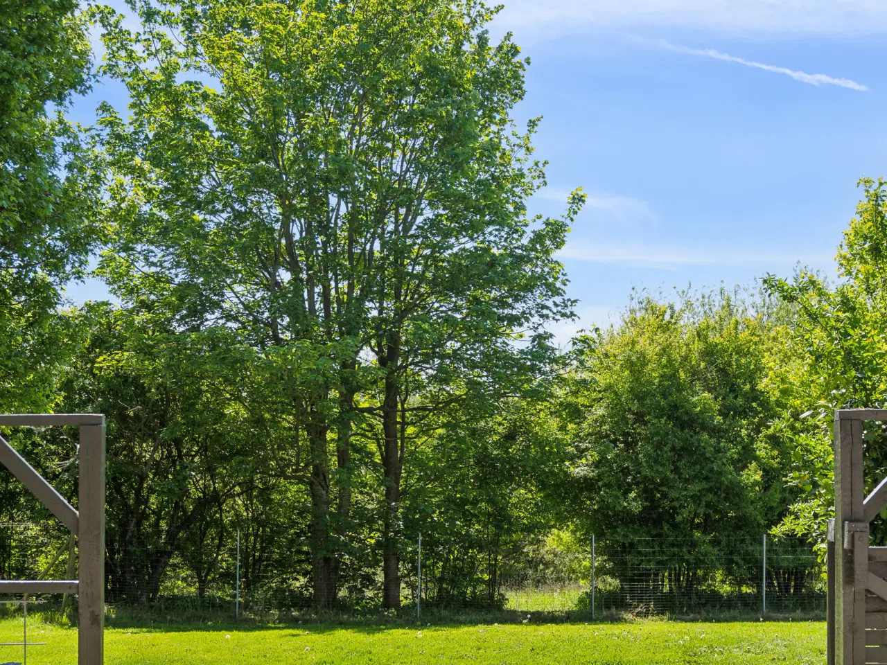 Billede 3 - 🏡🌳 LANDEJENDOM MED EGEN SØ OG MASSER AF NATUR! 
