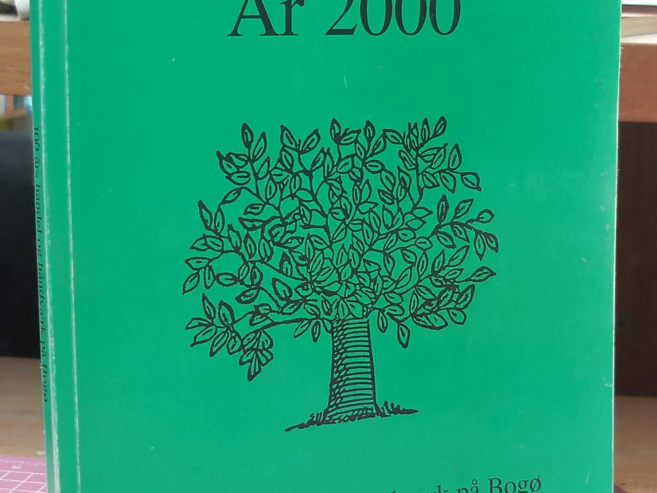 Billede 1 - Bogø år 2000