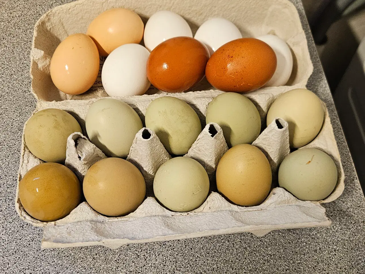 Billede 2 - Blandede kyllinger fra hønsegården