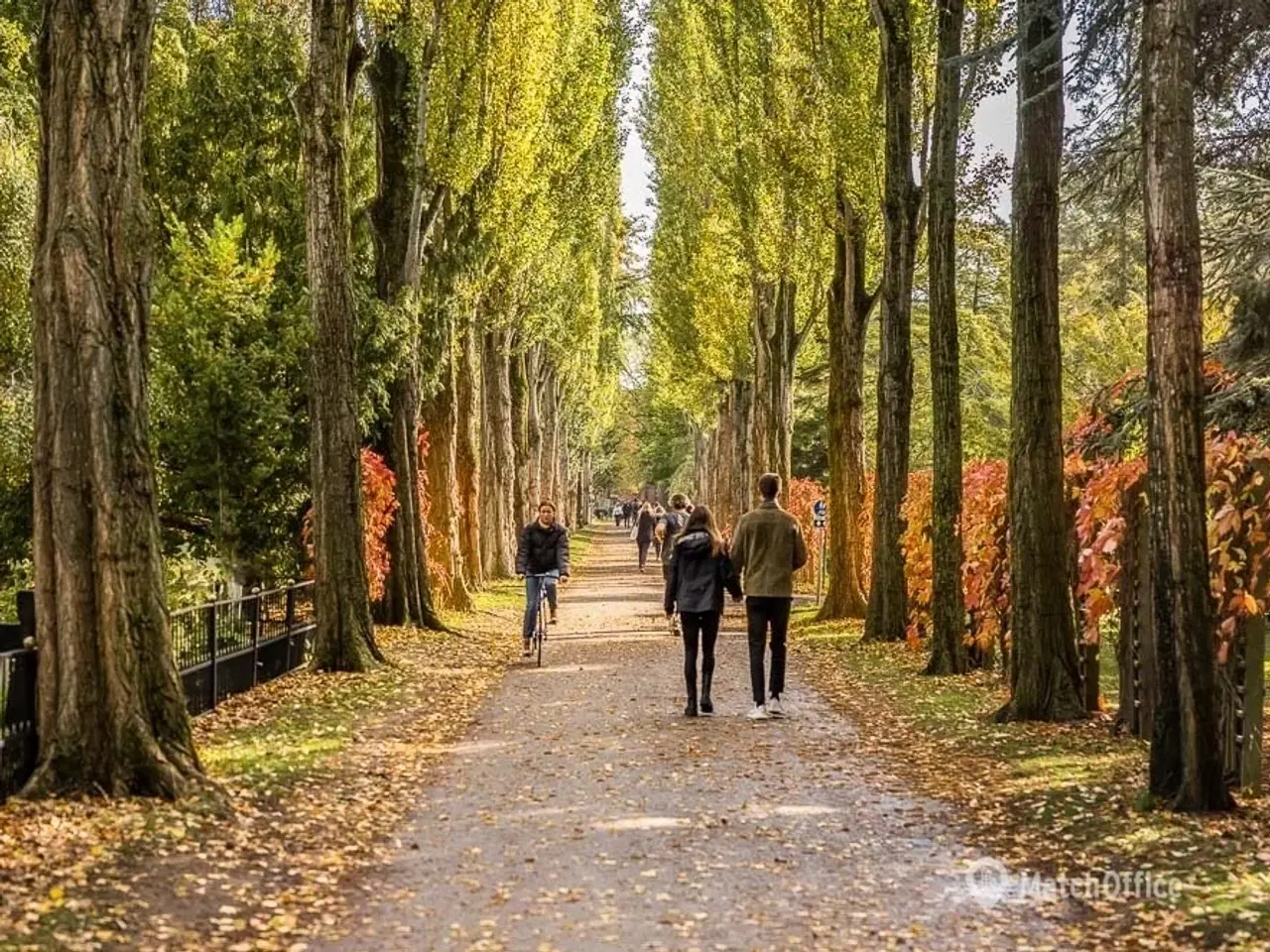 Billede 2 - Industrielt lejemål i Struenseegade