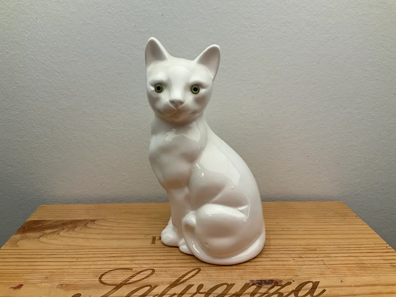 Billede 1 - Kat
