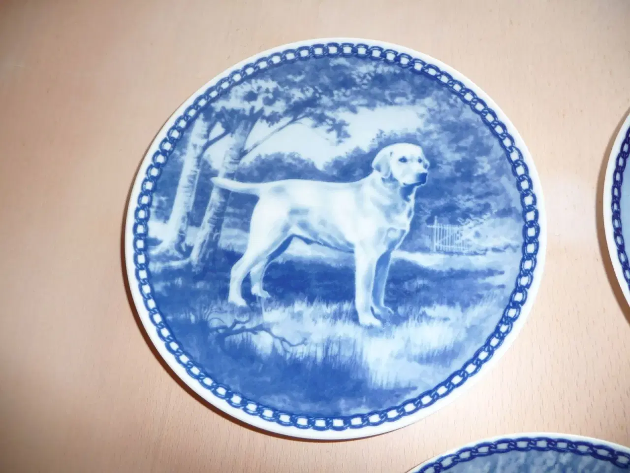 Billede 1 - Tove Svendsen, hunde platter