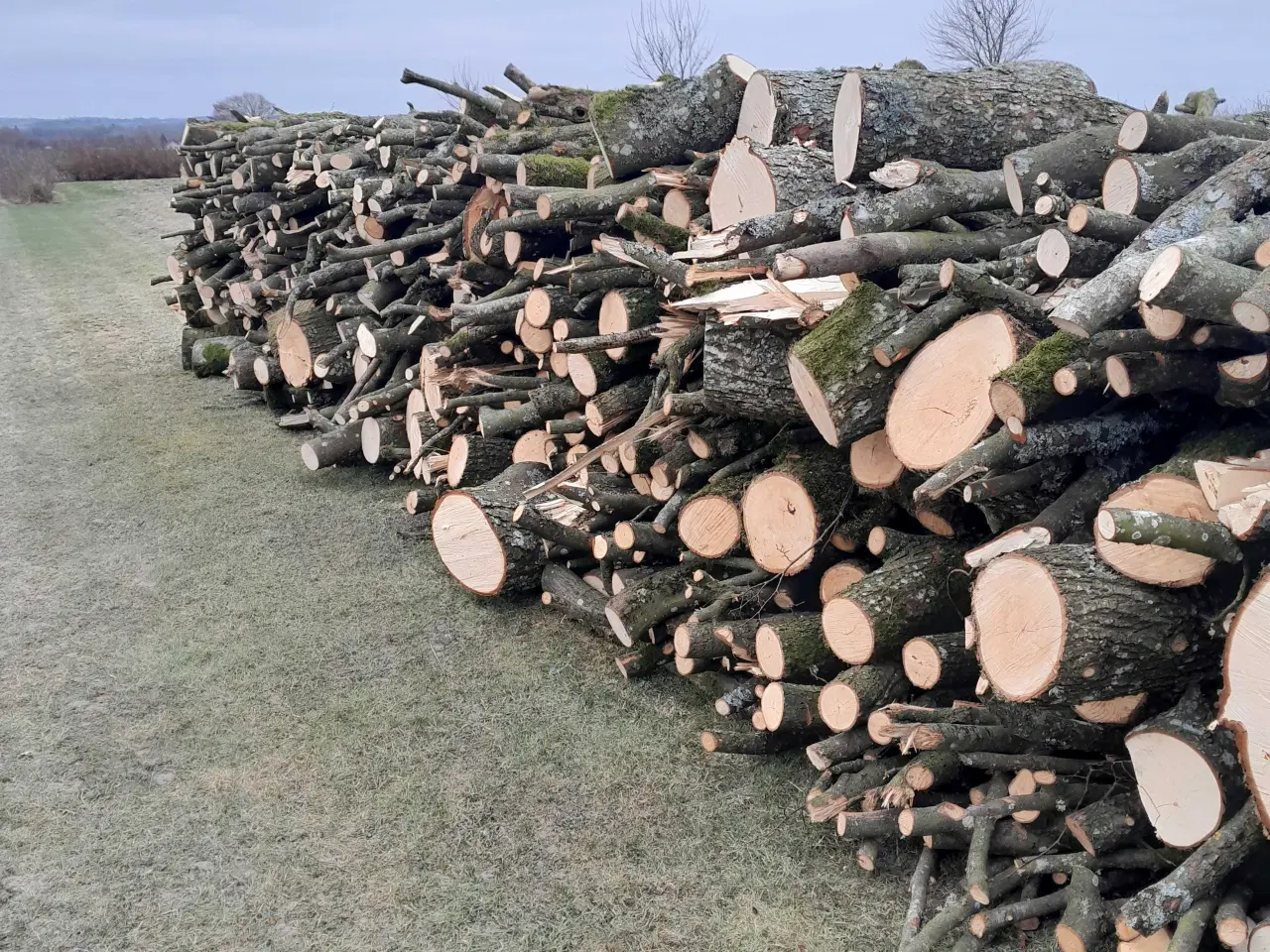 Billede 3 - BRÆNDE, BLANDET LØVTRÆ 18 mtr