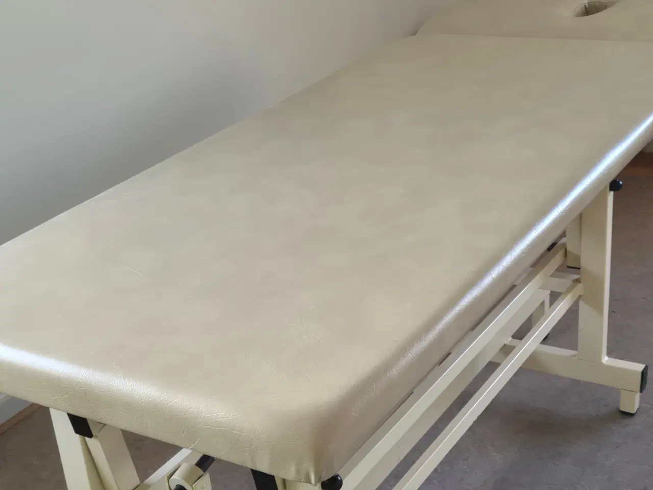 Billede 1 - Behandlerbriks til professionel brug.