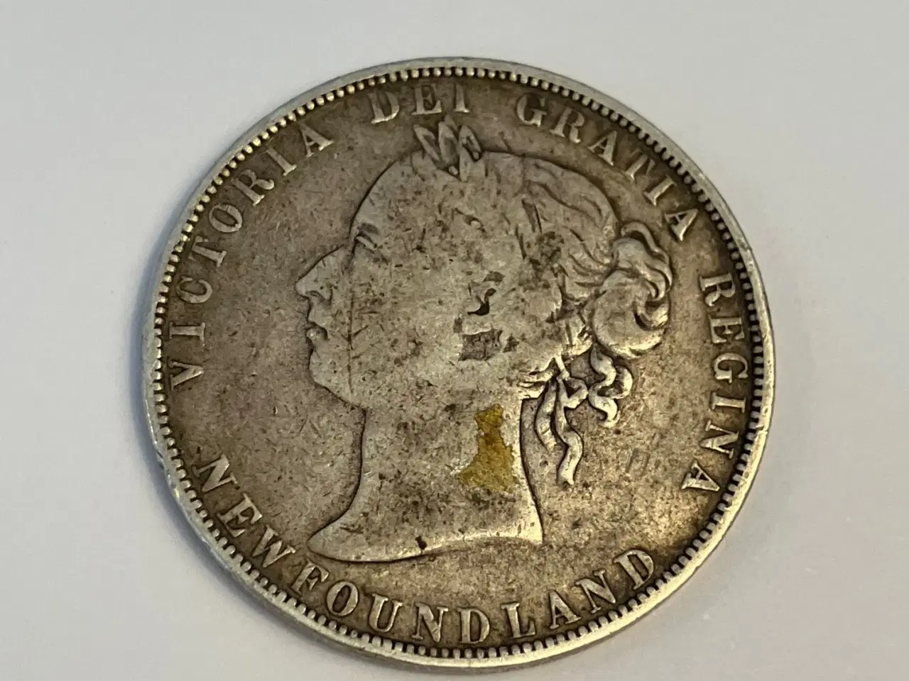 Billede 2 - 50 Cents Newfoundland 1899