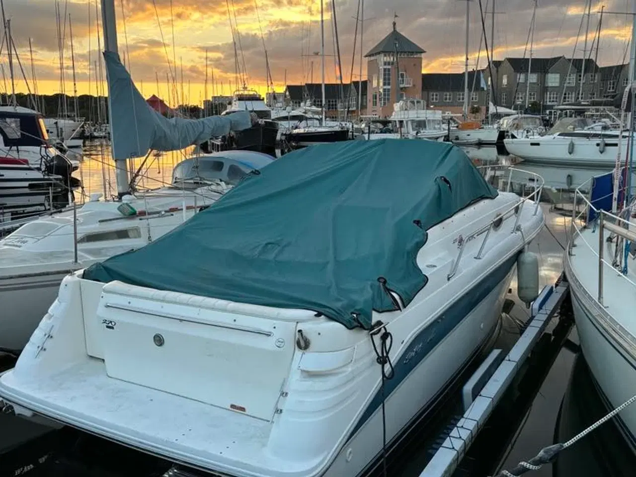 Billede 15 - Sea Ray 270 Sundancer til ny stærk pris!