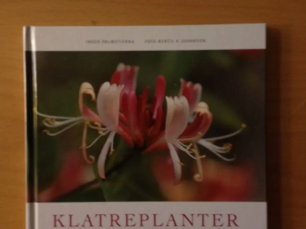 Billede 1 - Klatreplanter af Inger Palmstierna