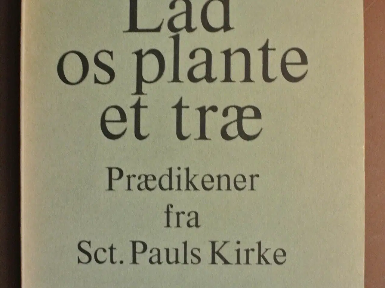 Billede 1 - lad os plante et træ - prædikener fra sct. pauls k