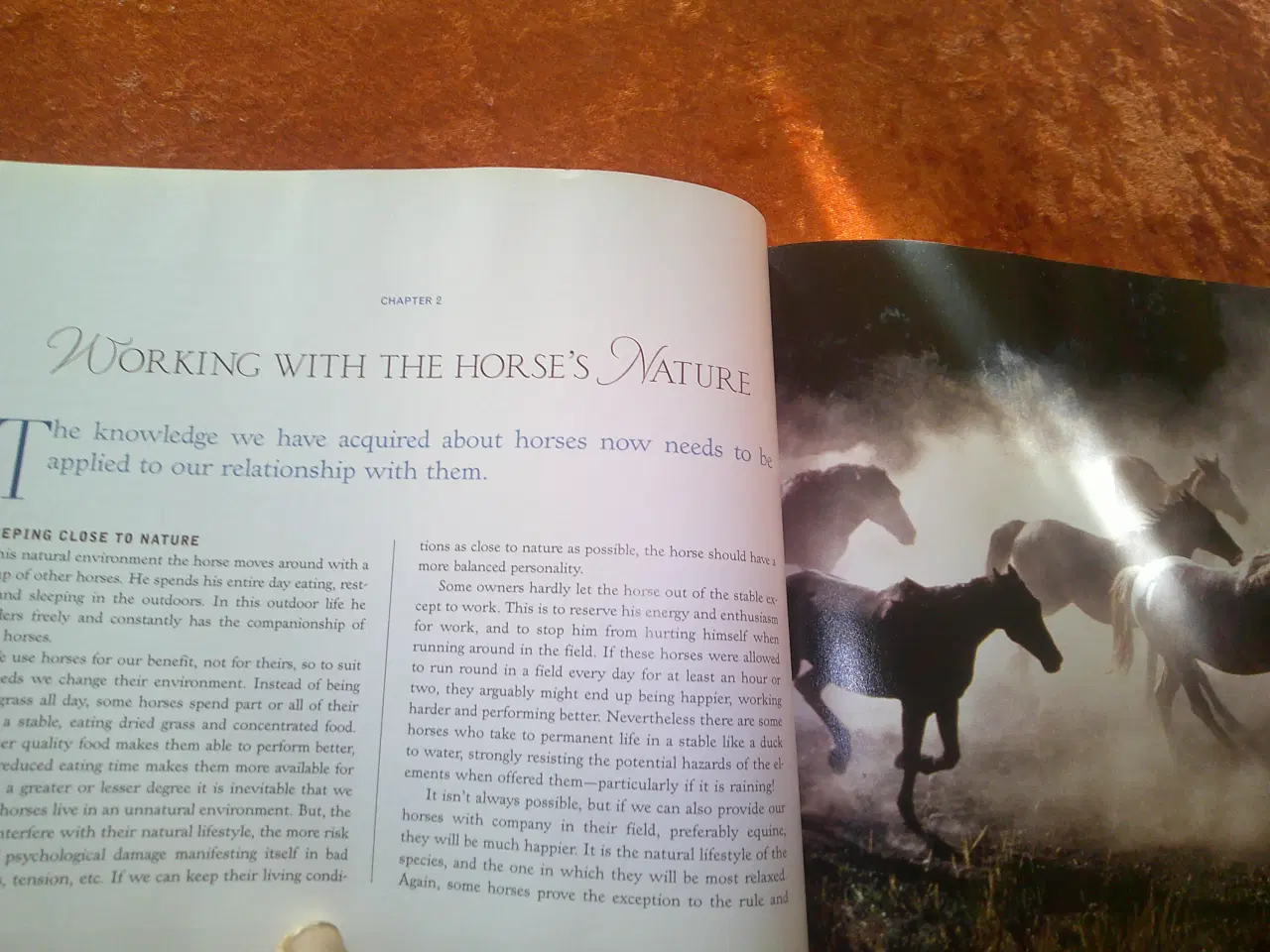Billede 4 - In Harmony With Your Horse, Clare Albinson