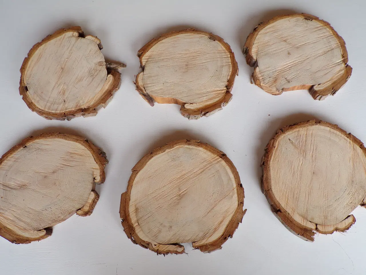 Billede 1 - Thuja træskiver 22 - 23 cm