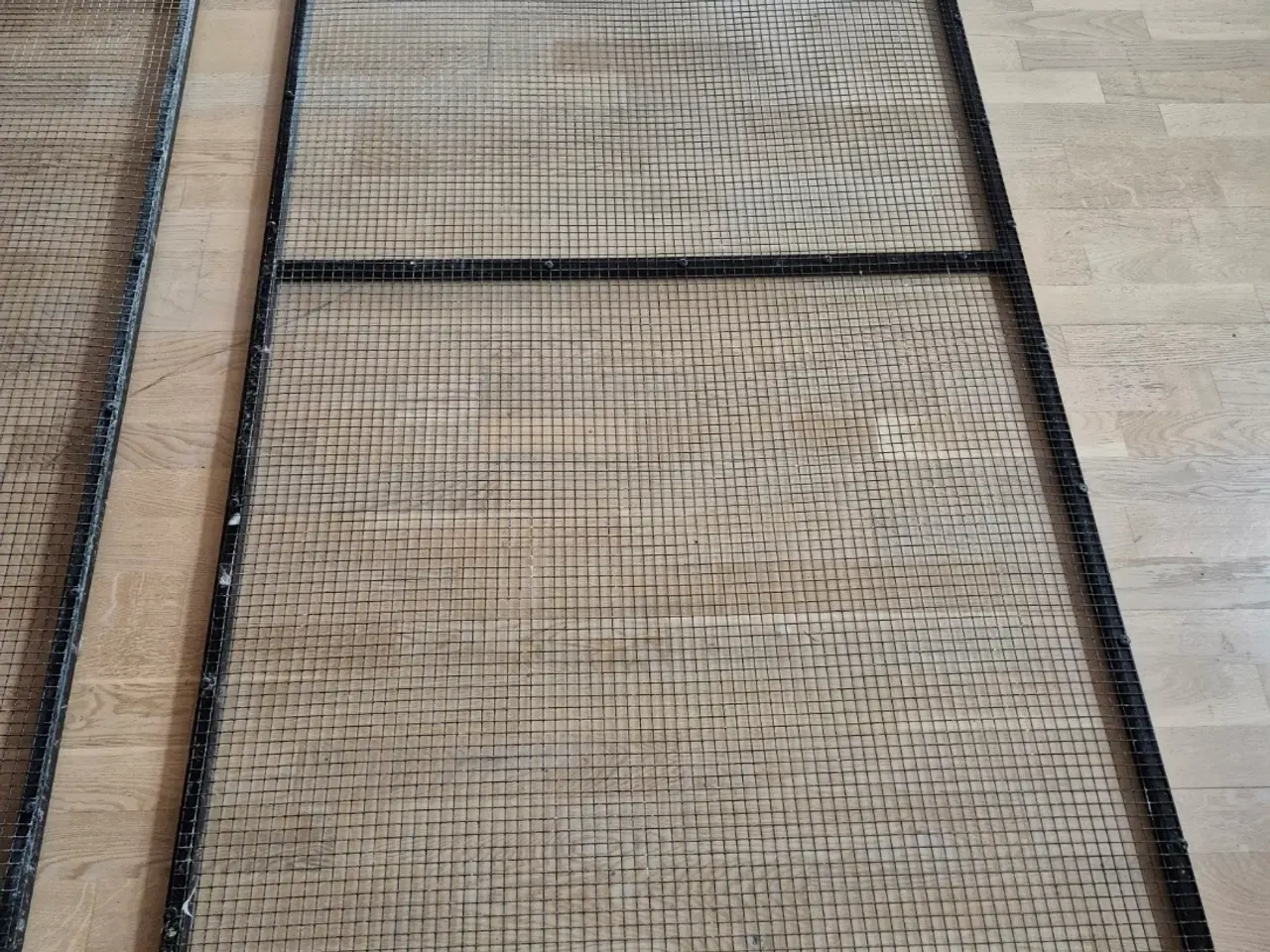 Billede 3 - Randers Voliere