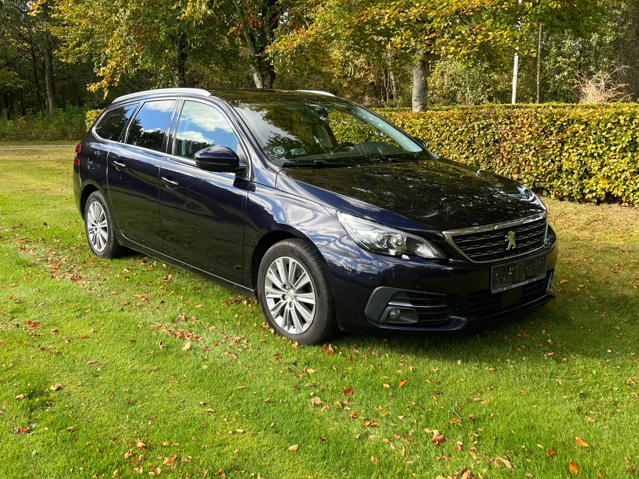 Billede 1 - Peugeot 308 BLUEHDI 130 SE