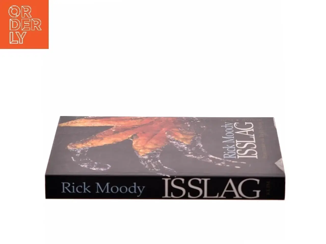 Billede 2 - Isslag af Rick Moody (Bog)