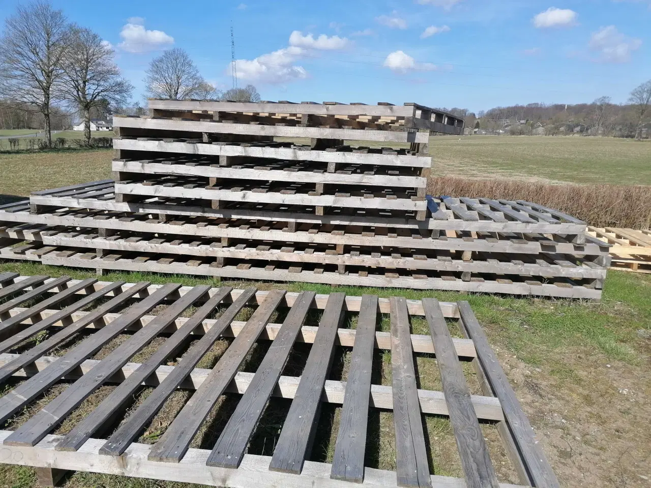 Billede 2 - Træelementer Store / Solide Stykpris fra 