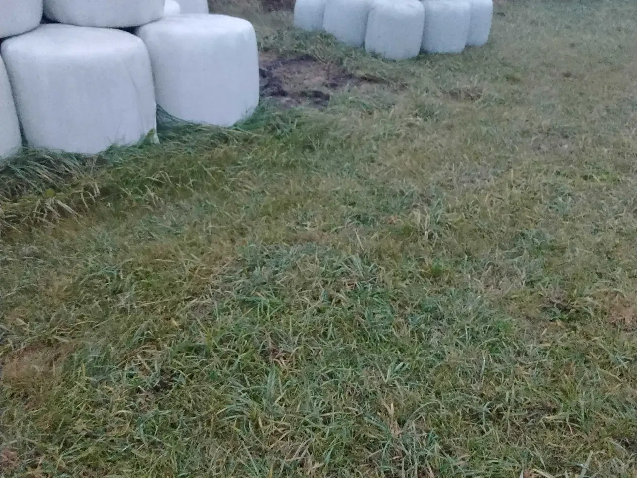 Billede 8 - Wrapballer & Hø sælges